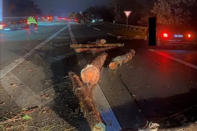A1 Seevetal – Baumstämme von Holz-Lkw verursachen Unfall