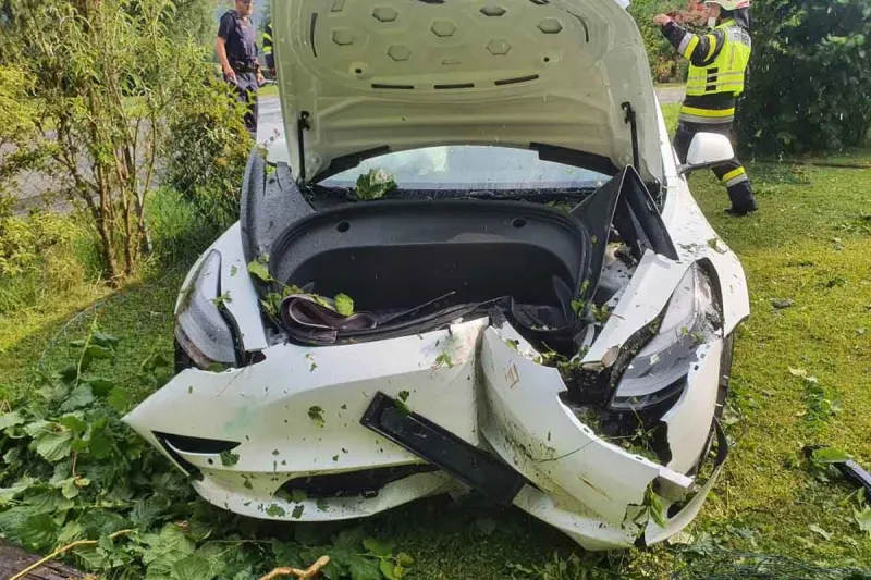Spektakulärer Unfall in Neudorf - Tesla kracht in Gartenanlage