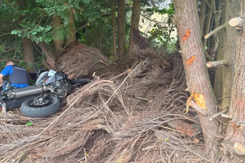 Eschenbach SG – Motorradfahrer prallt bei Unfall gegen Baum