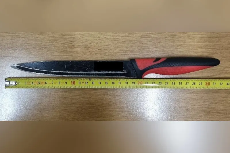 Wien – Frau und Polizisten mit Messer bedroht