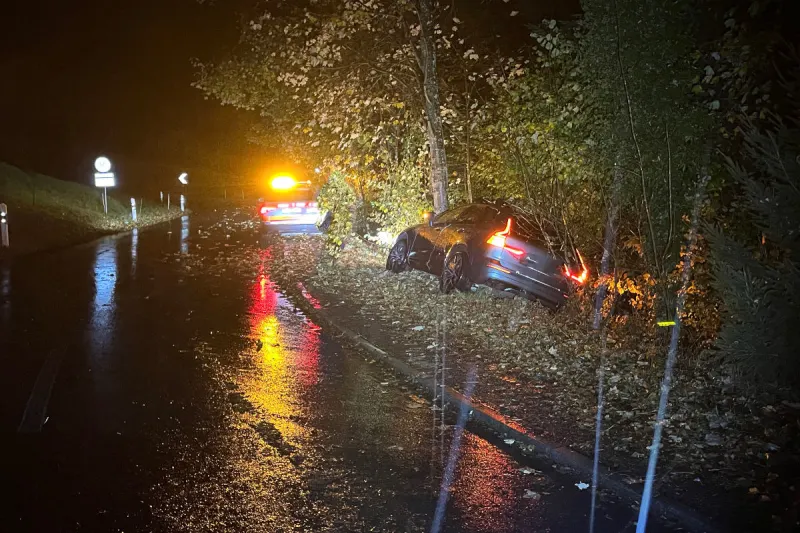 Hitzkirch LU – Auto landet nach Unfall im Gebüsch