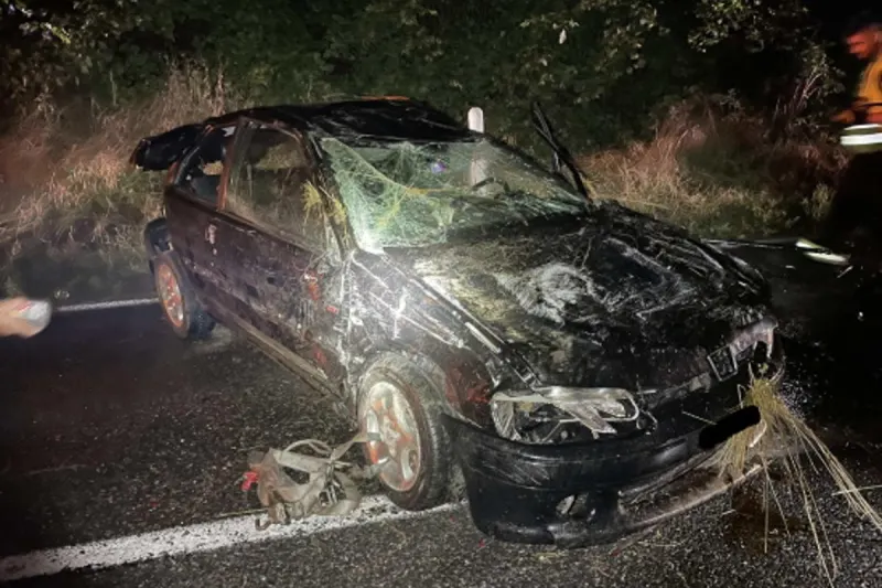 Verkehrsunfall in La Sonnaz FR - 19-Jähriger verliert Kontrolle über den Peugeot