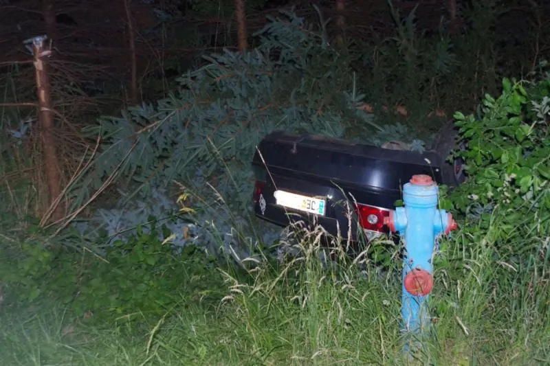 Spektakulärer Unfall in Jennersdorf - Fahranfänger landete auf Fahrzeugdach in einer Baumgruppe