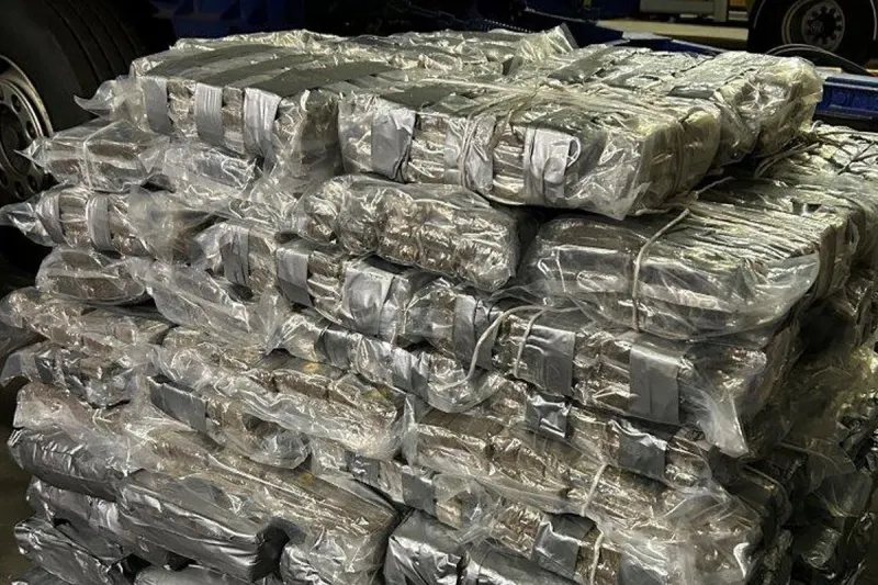 Schwegenheim RP – 432 Kilogramm Haschisch in Lkw entdeckt