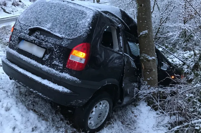 Kaiserslautern – In den Baum gekracht