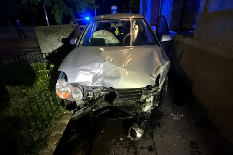 Wien – Polizeikontrolle eskaliert - Lenker verletzt vier Polizisten - abgemagerter Hund im Auto