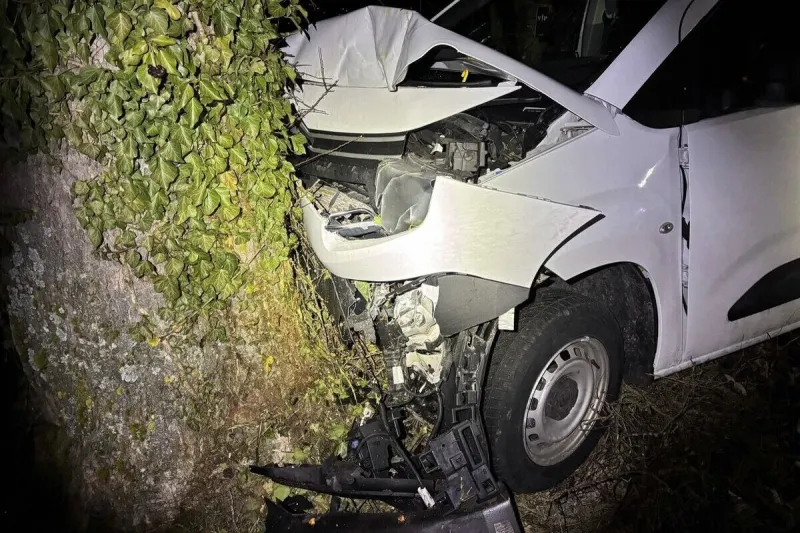 Hallau SH – Lieferwagen prallt bei Unfall gegen Baum