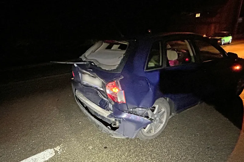 Biessenhofen TG – Alkoholisierte Lenkerin verursacht Unfall