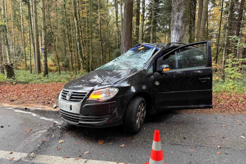 Unfall in Zofingen AG – Lenkerin prallt gegen Baum