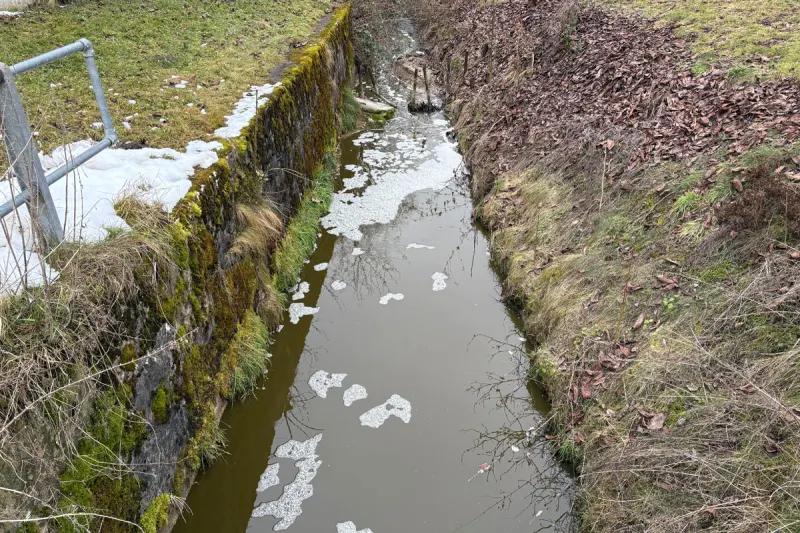 Schönholzerswilen TG – Jauche führt zu Fischsterben