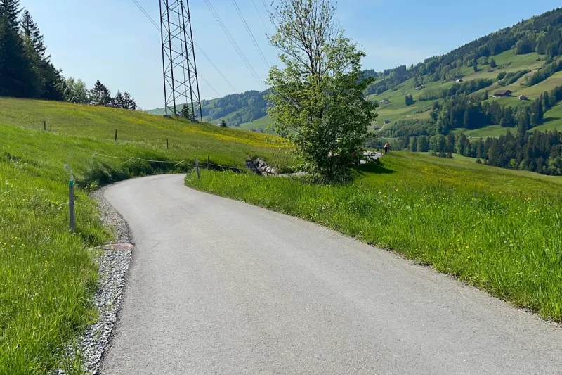 Eggerstanden AI – 13-Jähriger stürzt mit Mountainbike