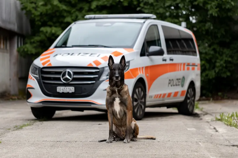 Rapperswil-Jona SG – Diensthund Ike verhindert Autodiebstahl 