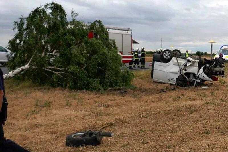 Drama in Strasshof - Mann kracht gegen Baum - tot