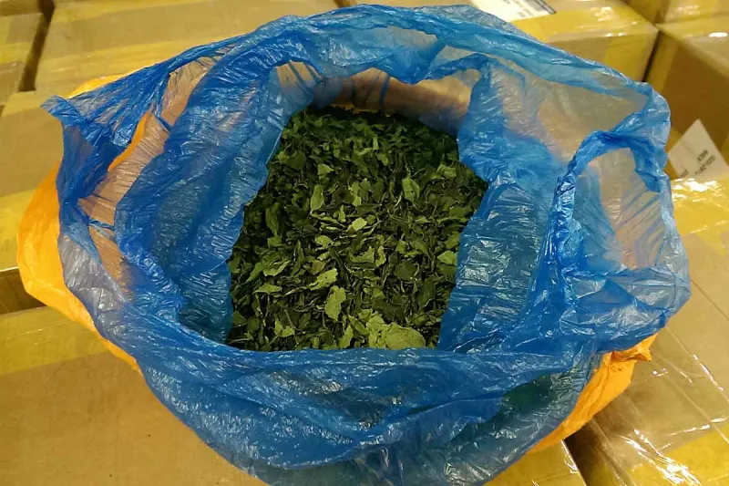 Frankfurter Flughafen - 40 Kilogramm Khat aus Dubai!