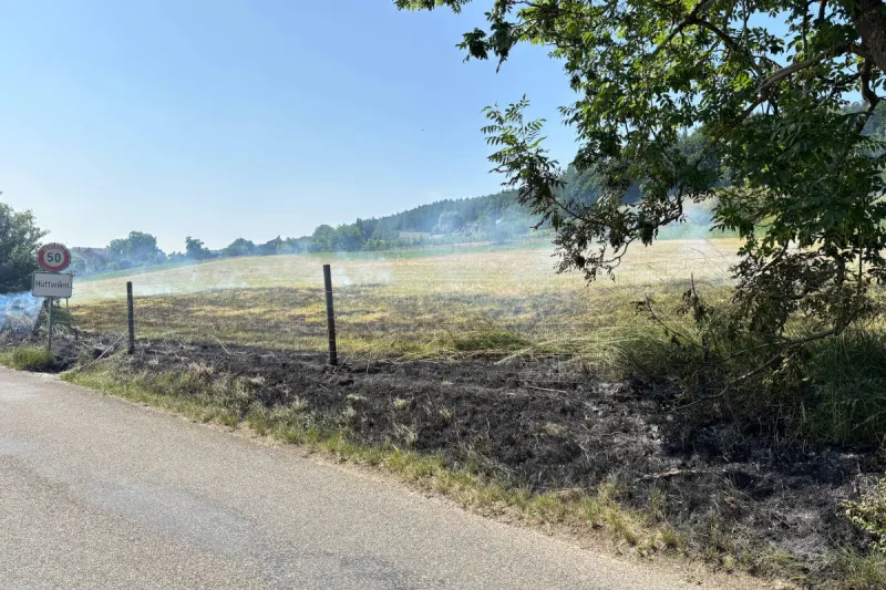 Hüttwilen TG – Ursache nach Wiesenbrand unklar