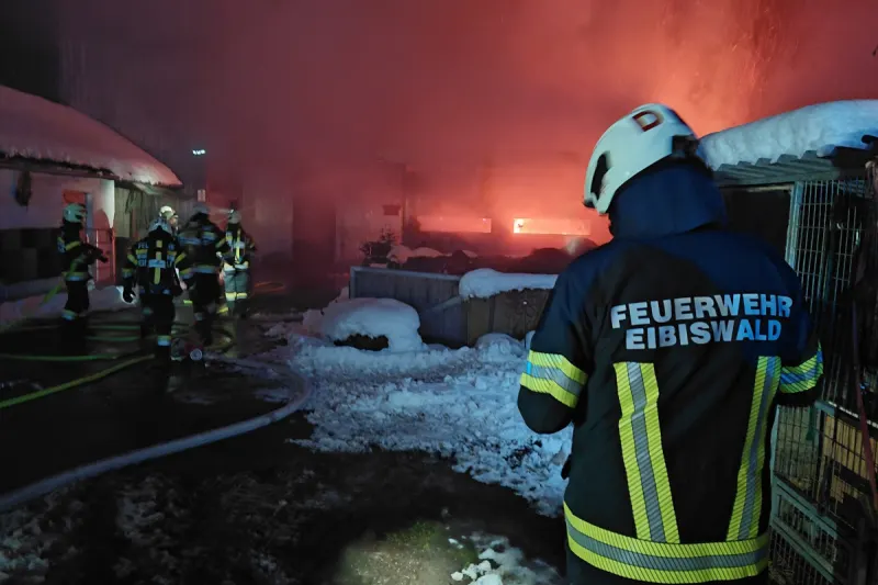 Eibiswald – Pferde bei Brand in Wirtschaftsgebäude gerettet