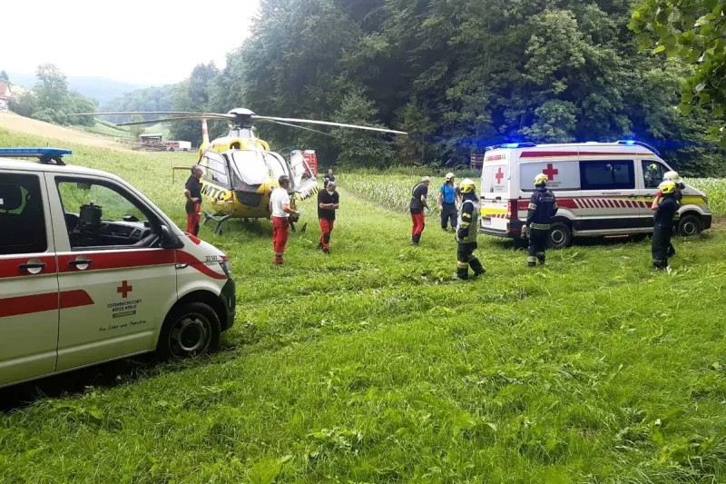 Gnas - Schwerer Forstunfall