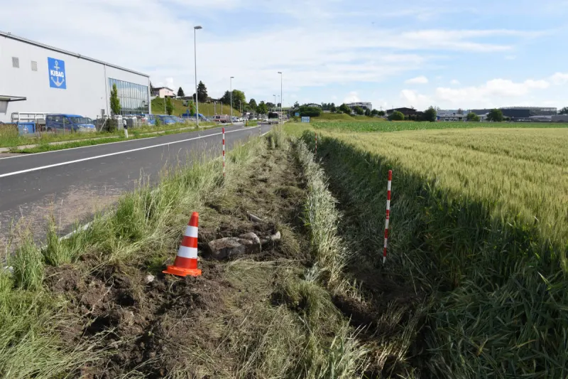 Emmen LU – Linienbus kommt von Strasse ab