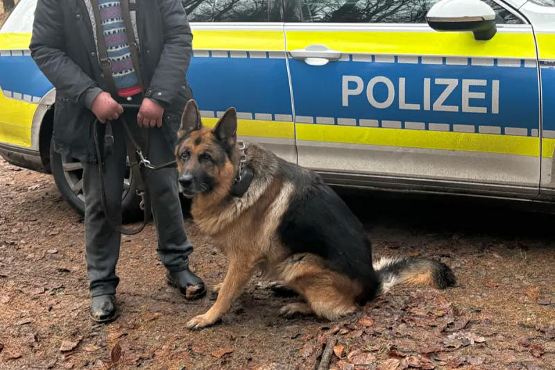 Braunschweig – Polizei hilft vermissten Hund wiederzufinden