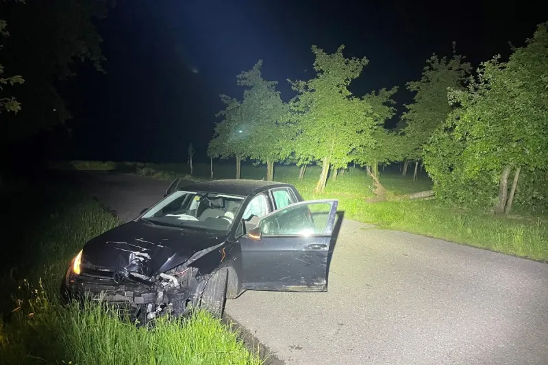 Roggwil TG - Autofahrer baut alkoholisiert Unfall