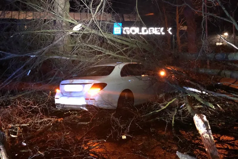 Bielefeld - Beinahe Drama durch umgestürzten Baum!