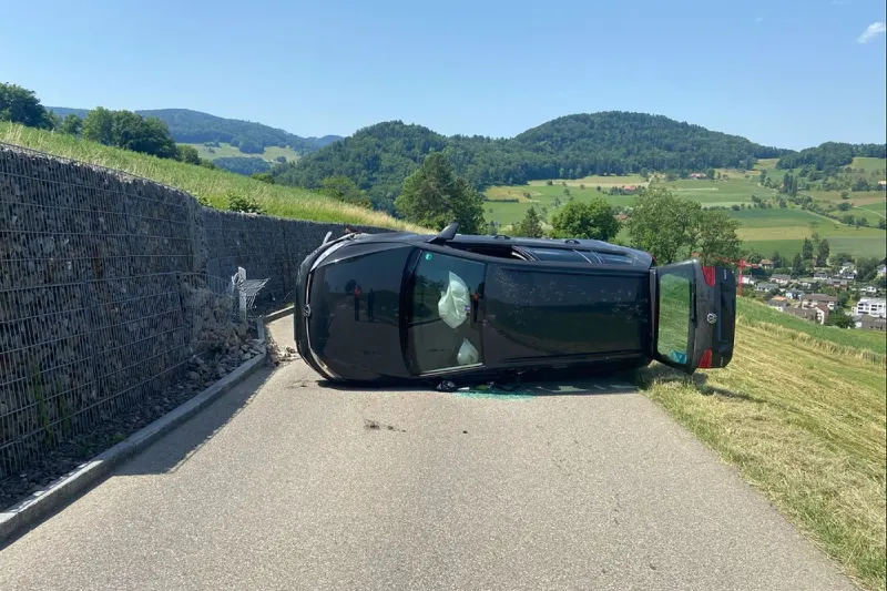 Oberdorf BL - Kontrolle über Personenwagen verloren - Hund und Lenker blieben unverletzt