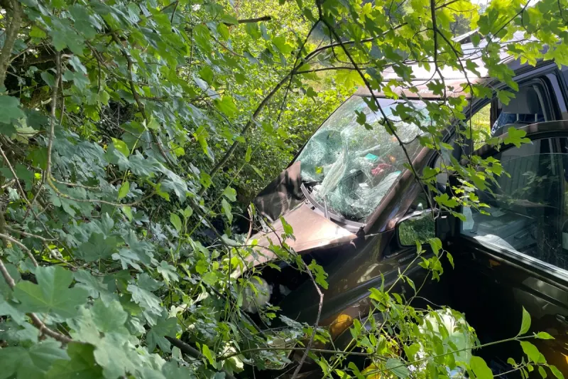 Densbüren AG - Schwerer Verkehrsunfall nach Sekundenschlaf
