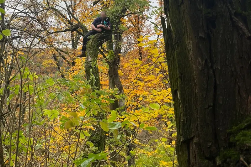 Stuttgart BW - Feuerwehr rettet Hund aus acht Metern Höhe 