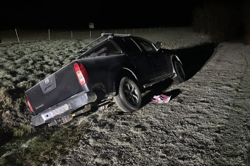 Scherzingen TG – Mann nach Unfall mit gestohlenem Auto festgenommen