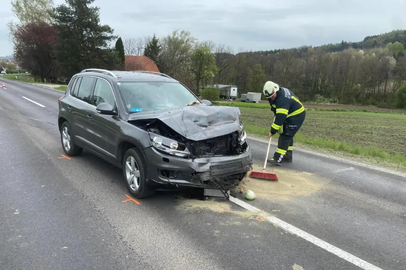 Bezirk Eferding – Bremsung für Entenfamilie endete mit Auffahrunfall