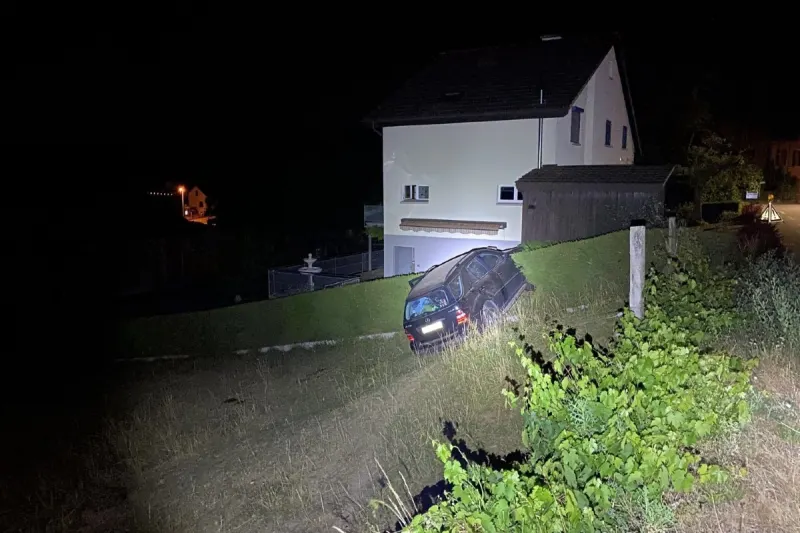 Thayngen SH - Kuhweide mit Auto durchquert