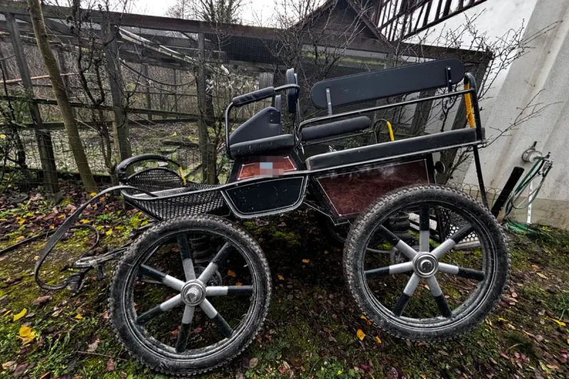 Amlikon-Bissegg TG – Pferdekutsche gerät ausser Kontrolle 