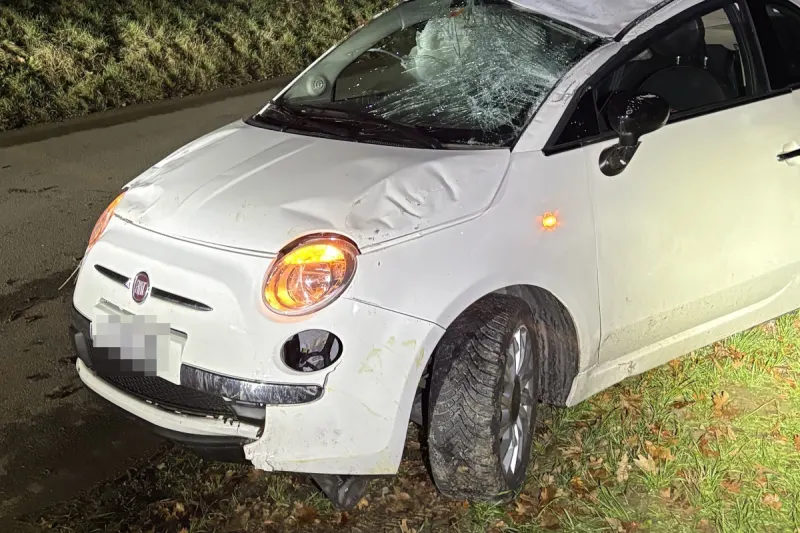Stettfurt TG – Ausweichmanöver führt zu Unfall