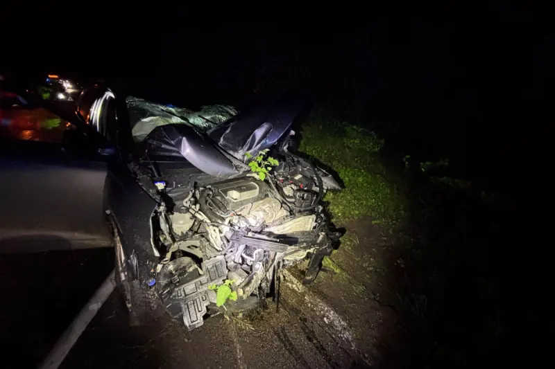 Unfall in Bremgarten AG – Alkoholfahrt endet mit Totalschaden