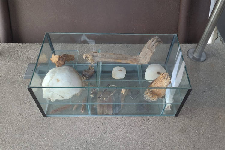 Zeugenaufruf-Speyer-RP-Menschliche-berreste-in-Glasvitrine-vor-Museum-gefunden