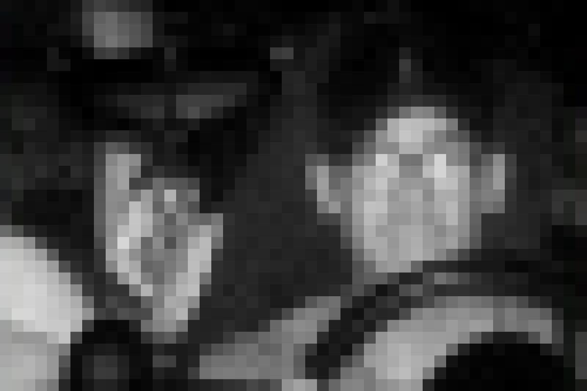 Recklinghausen – Autodieb wird bei Raserei geblitzt