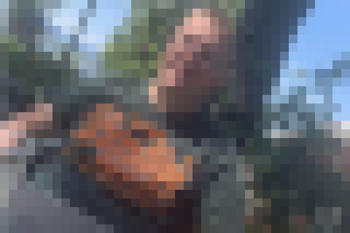 [Update] Lausanne VD - Vermisster mit Down-Syndrom gefunden