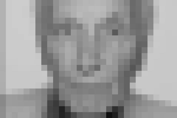 Ein Foto des Vermissten