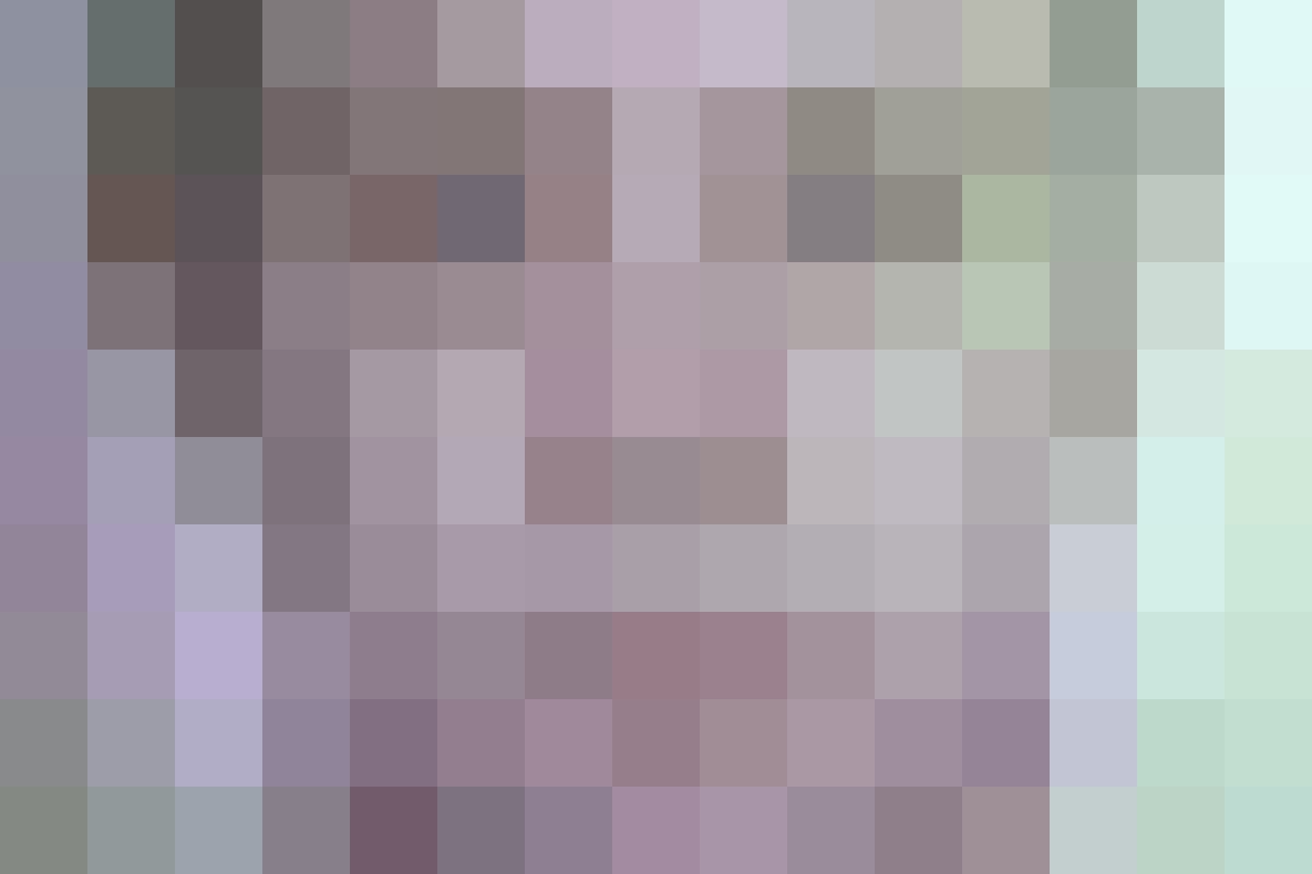 Tragödie in Darmstadt - Arm des Vermissten im Wald gefunden!