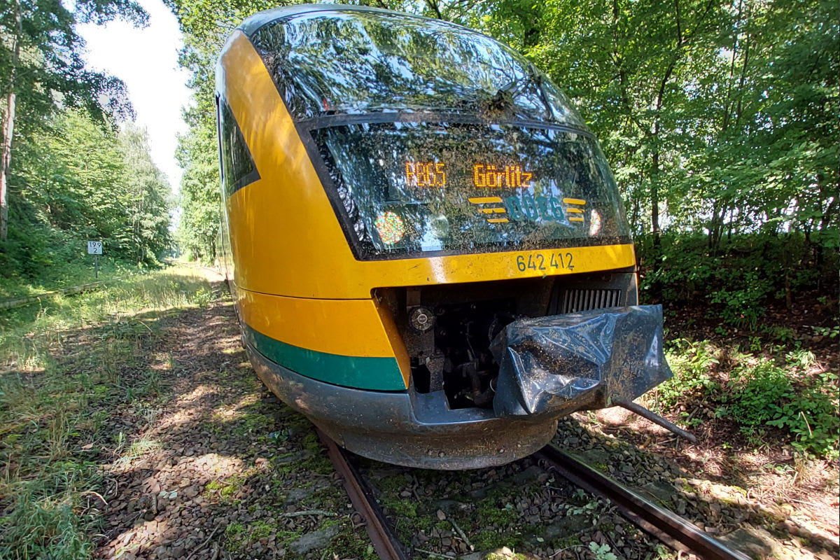 G-rlitz-Regionalbahn-prallt-mit-110-km-h-gegen-Baum