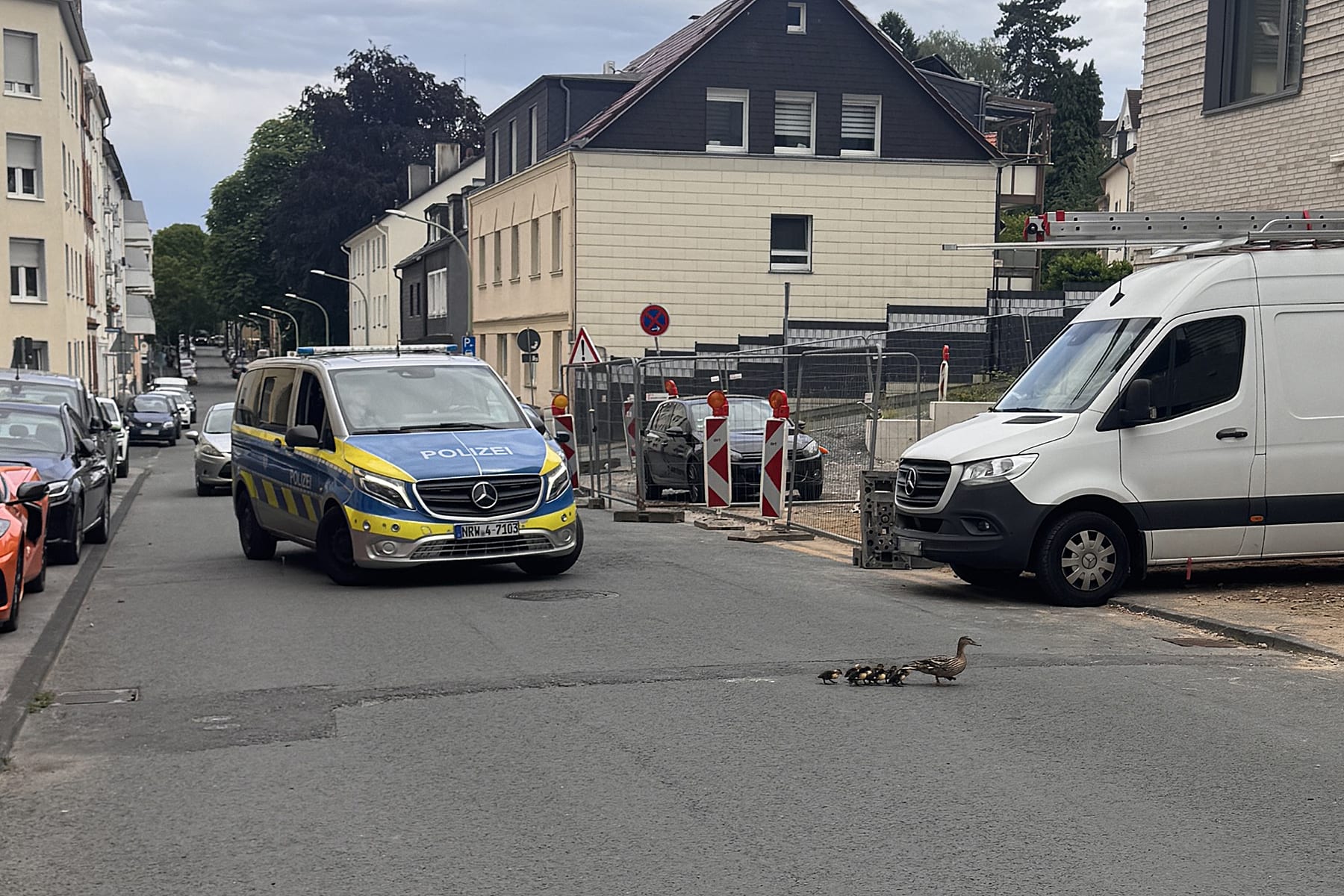 Hagen-Polizei-rettet-Entenfamilie-von-gef-hrlicher-Stra-e