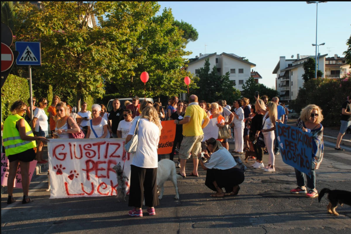 Gemeiner Hundequäler in Italien verhaftet