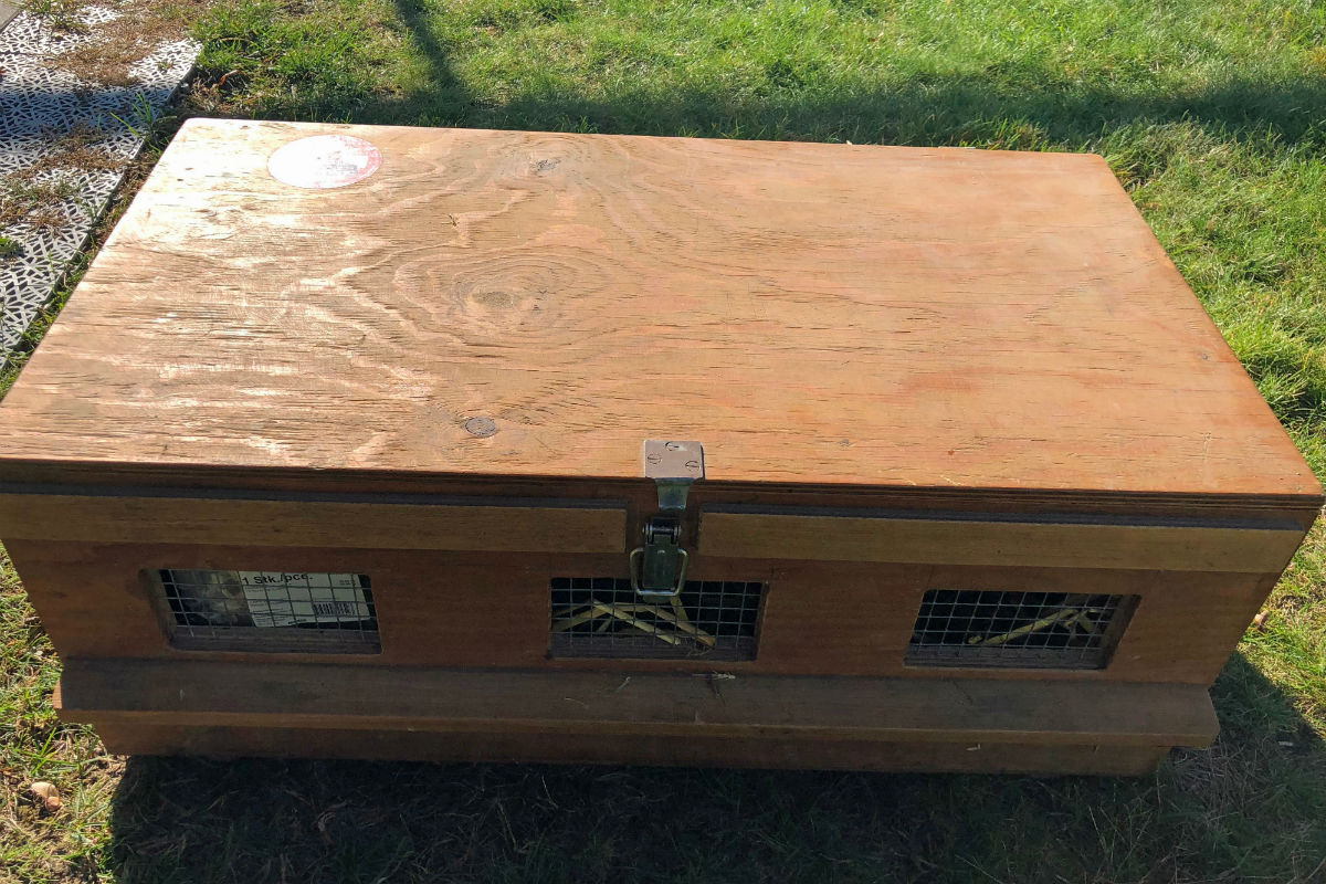 Jegenstorf BE - Zwergkaninchen ausgesetzt - Zeugenaufruf