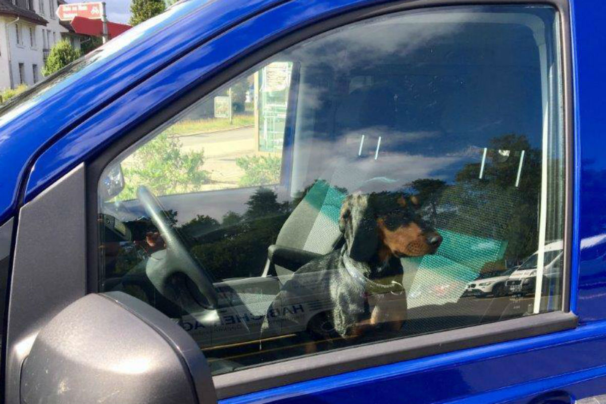 Basel-Stadt bereitet sich auf markante Hitzewelle vor – Verhaltenstipps und Hotline für Ältere