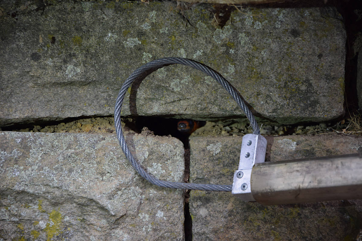 Jagd nach der Schlange