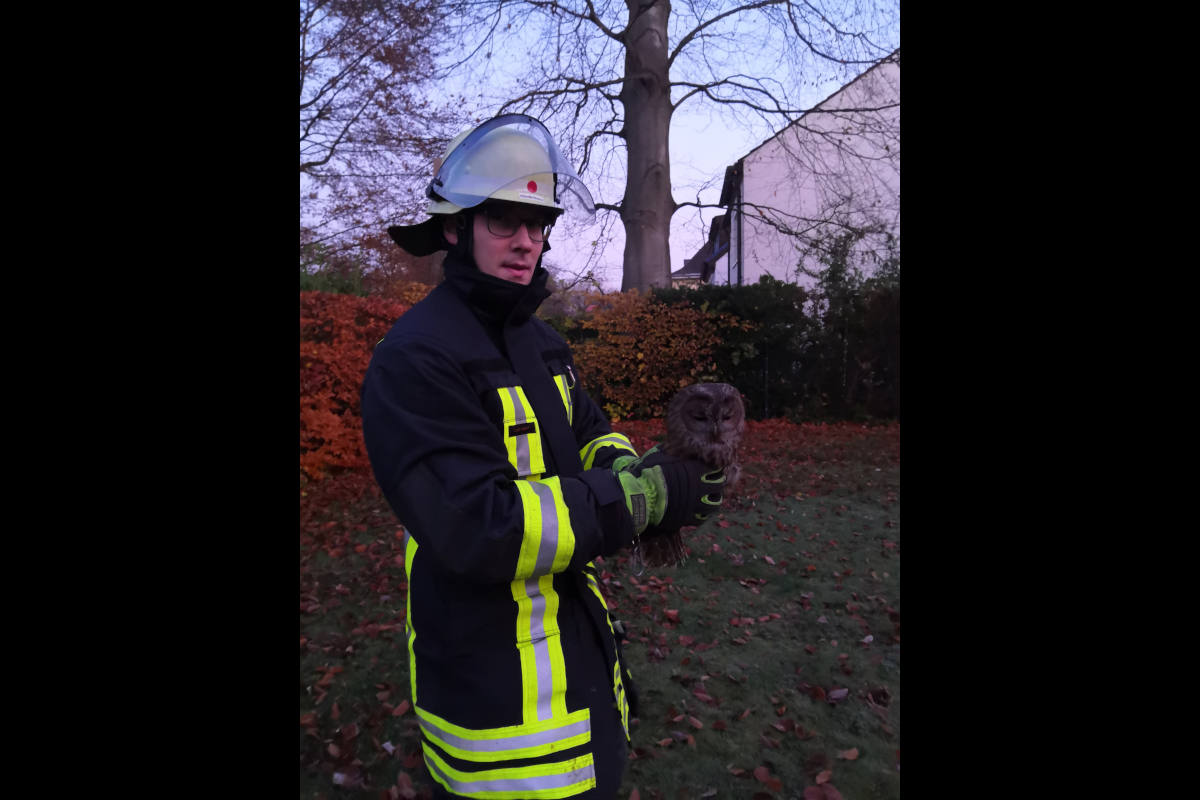 Dortmund - Eule aus Kamin befreit