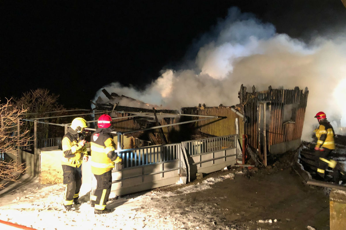 Für die Schweine konnte nichts mehr gemacht werden.