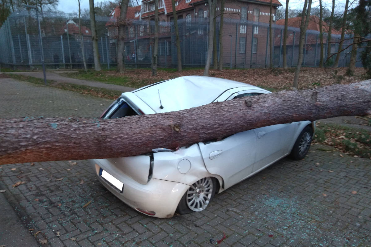 Baum kracht auf Autodach.
