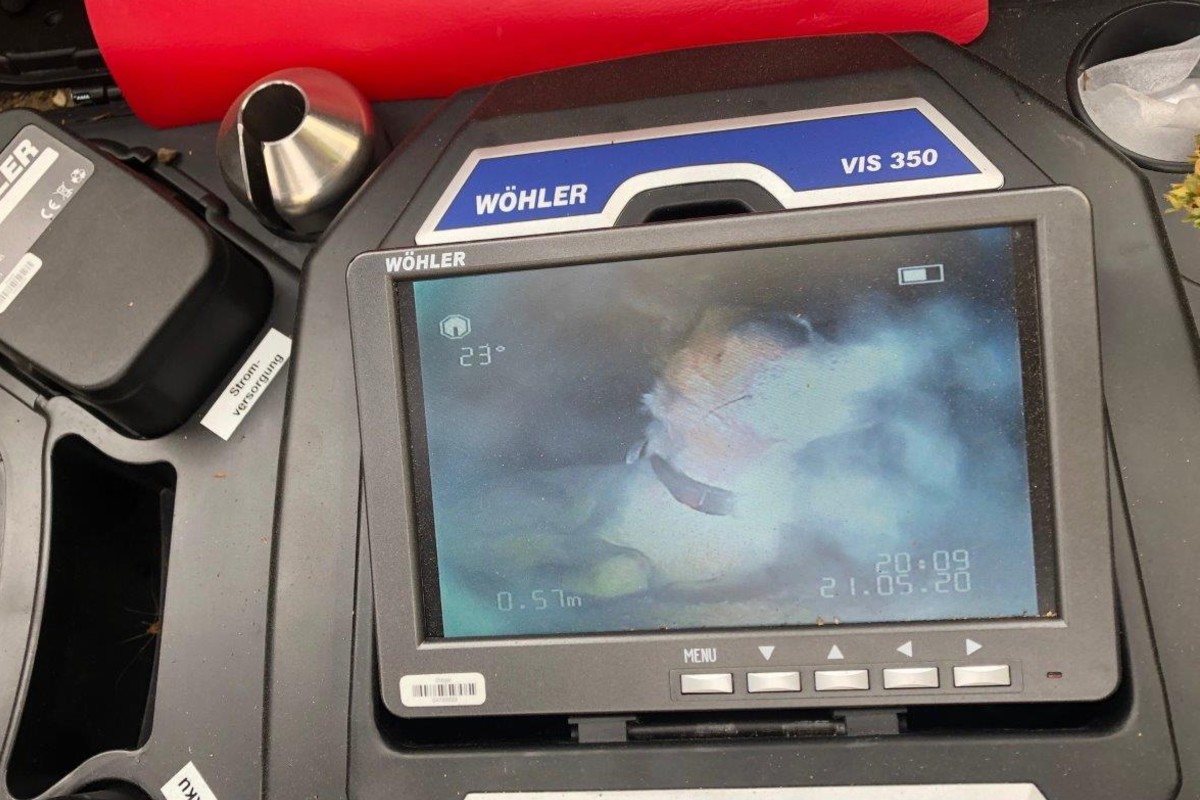 Die Hündin konnte gestern in Frankfurt aus einem Hasenbau gerettet werden.