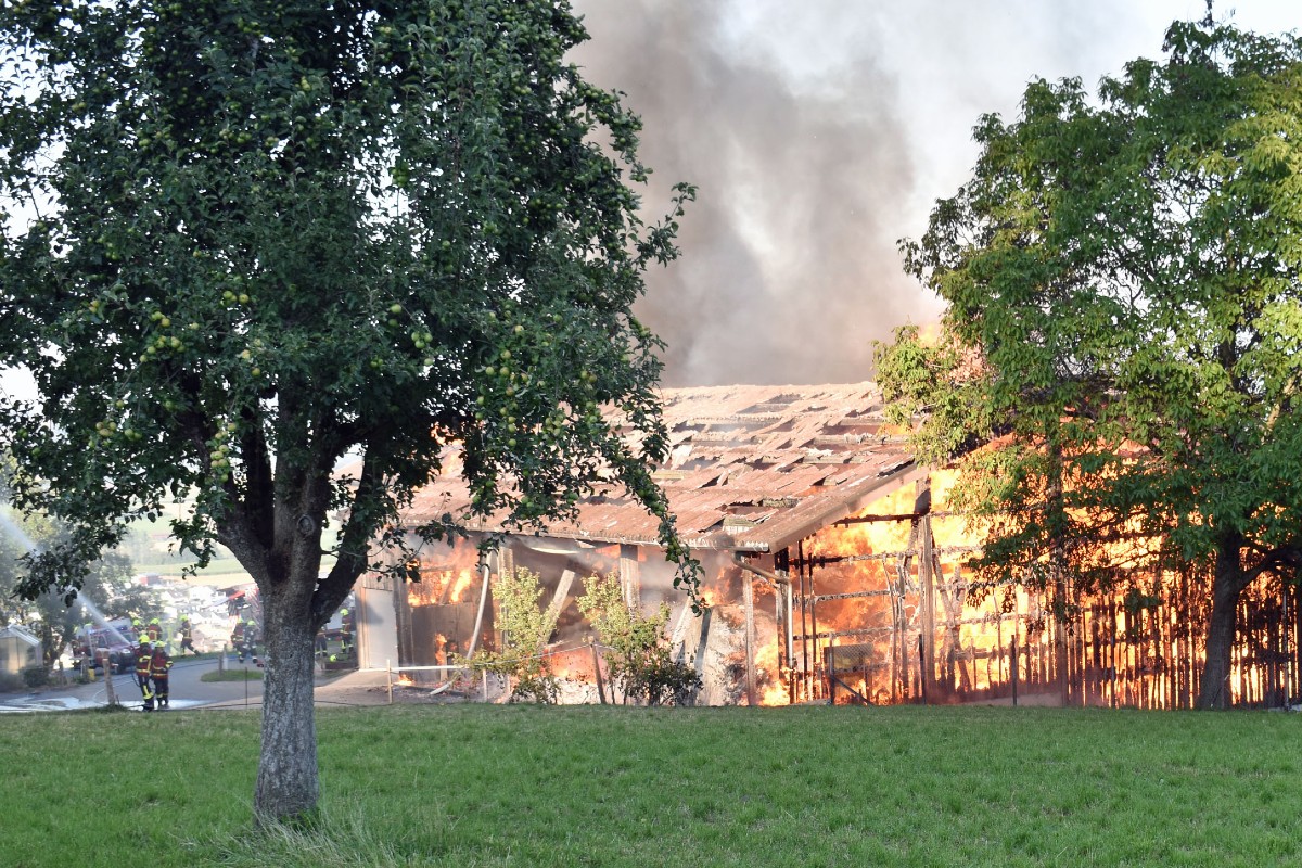 Der Schaden ist enorm.